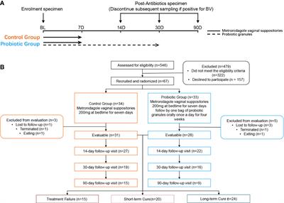 Orally administrated Lactobacillus gasseri TM13 and Lactobacillus crispatus LG55 can restore the vaginal health of patients recovering from bacterial vaginosis